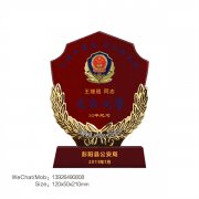 最美警队、最美警察、最美辅警评选奖杯奖牌纪念牌制作厂家